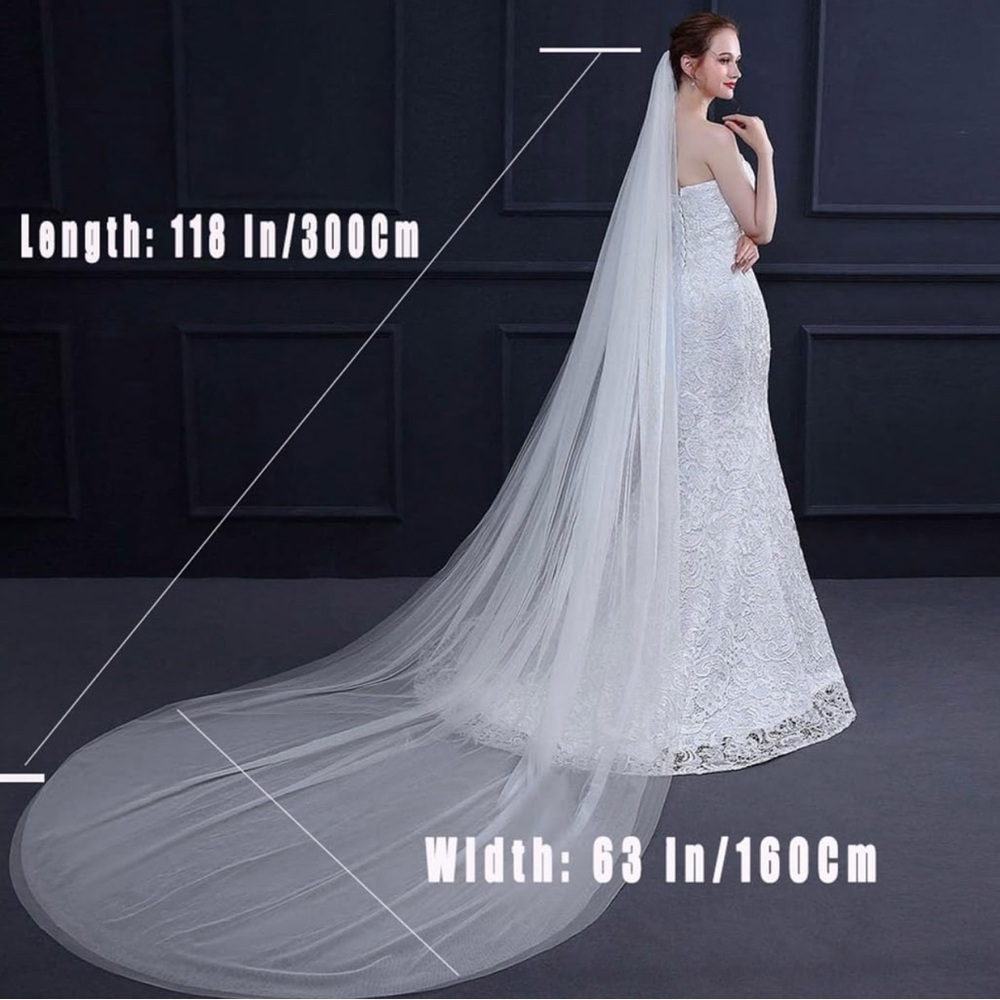 Stunning Long White Bridal Veil